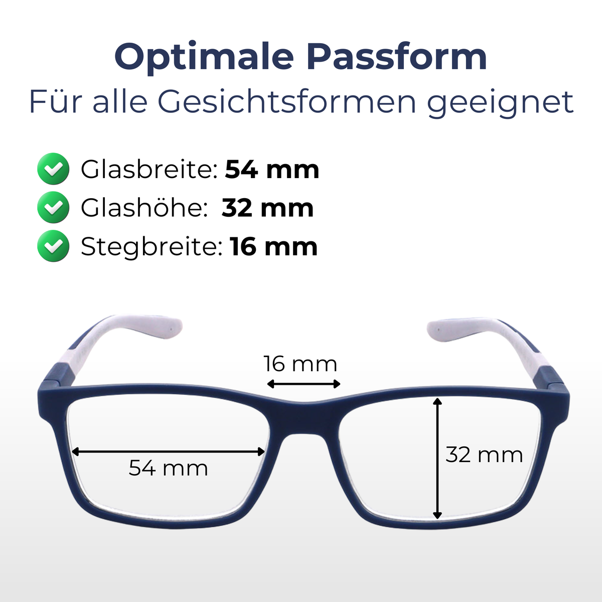 Lesehilfe KLH213-2 blau weiß