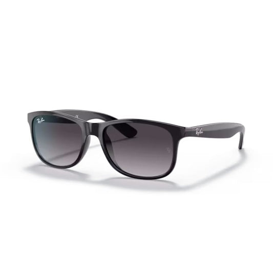 Ray Ban Sonnenbrille Andy 0RB4202 601/8G schwarz