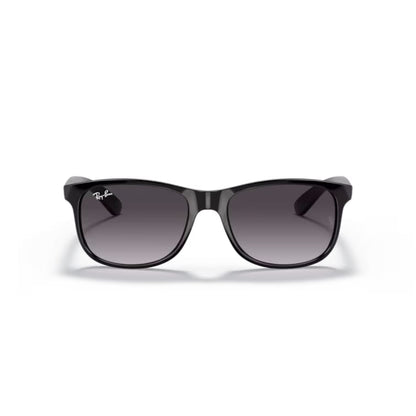 Ray Ban Sonnenbrille Andy 0RB4202 601/8G schwarz