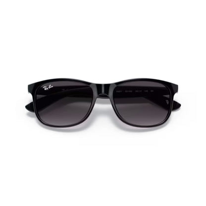 Ray Ban Sonnenbrille Andy 0RB4202 601/8G schwarz