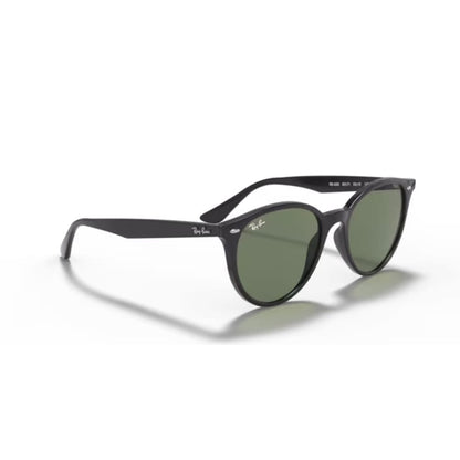 Ray Ban Sonnenbrille 0RB4305 601/71 schwarz