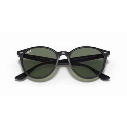 Ray Ban Sonnenbrille 0RB4305 601/71 schwarz