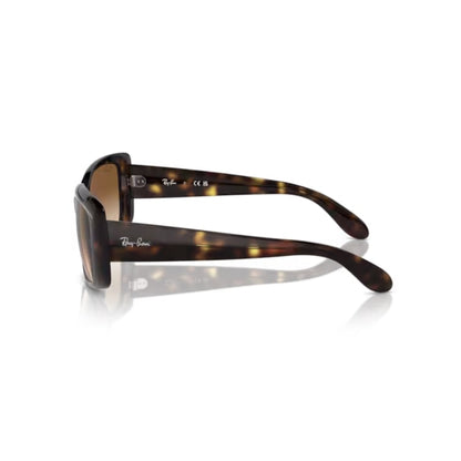 Ray Ban Sonnenbrille 0RB4389 710/51 havana