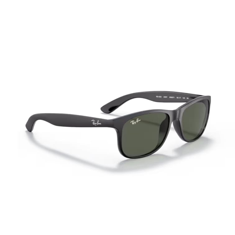 Ray Ban Sonnenbrille Andy 0RB4202 606971 matt schwarz