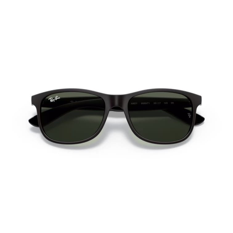 Ray Ban Sonnenbrille Andy 0RB4202 606971 matt schwarz