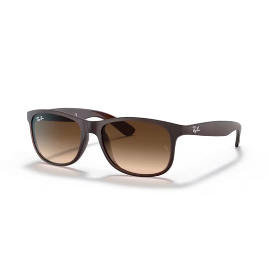 Ray Ban Sonnenbrille Andy 0RB4202 607313 matt braun