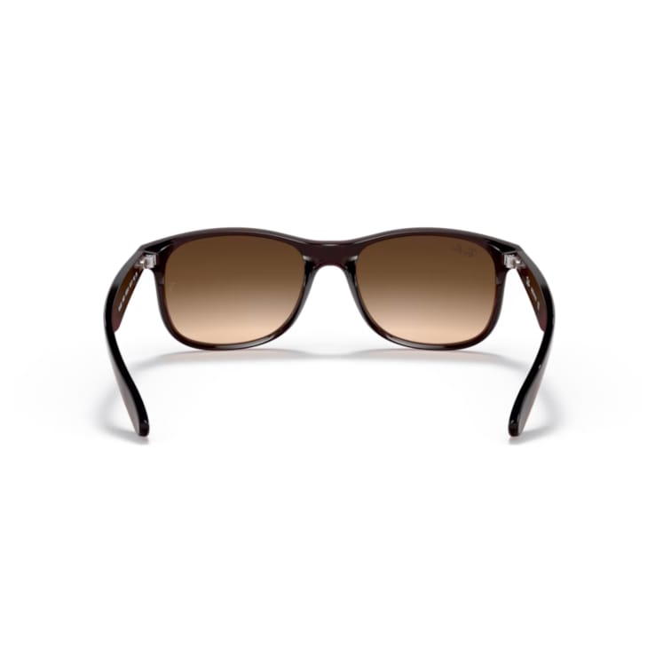 Ray Ban Sonnenbrille Andy 0RB4202 607313 matt braun