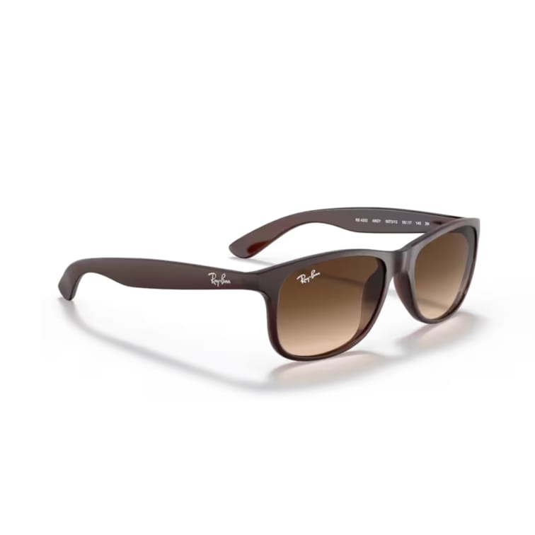 Ray Ban Sonnenbrille Andy 0RB4202 607313 matt braun