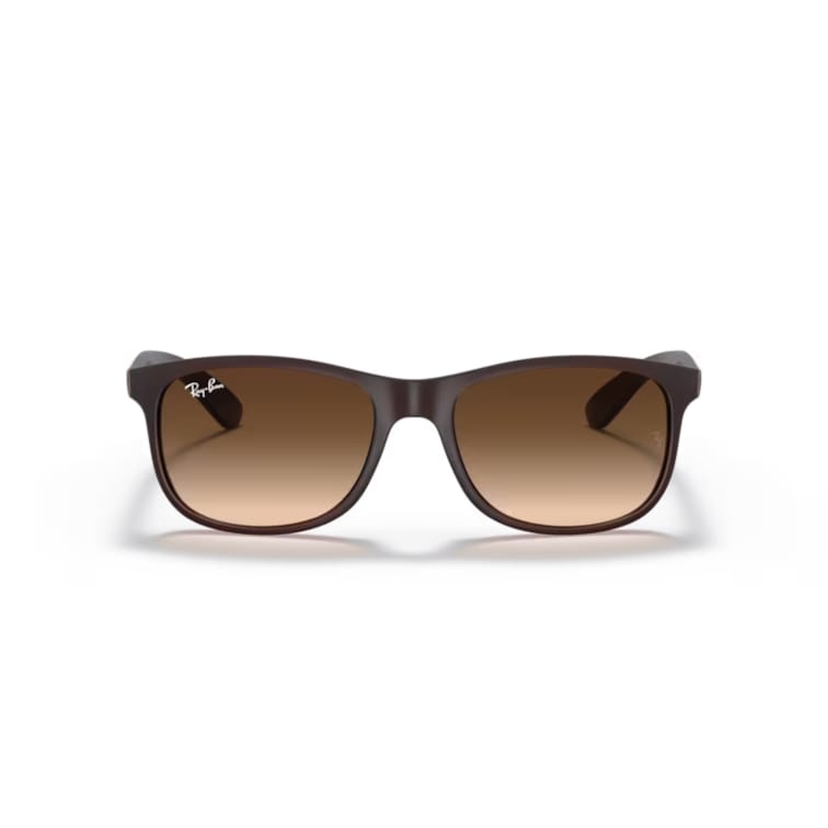 Ray Ban Sonnenbrille Andy 0RB4202 607313 matt braun